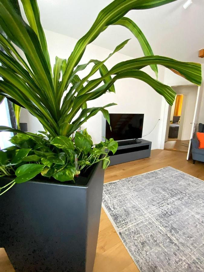 Stylish Two-Floor Apartment In A Heart Of Basel Exterior photo